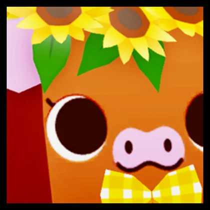 Huge Sunflower Calf